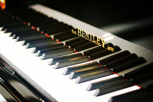 英国BENTLEY本特历钢琴 英国国宝级 高端名琴代名词 英国钢琴之王